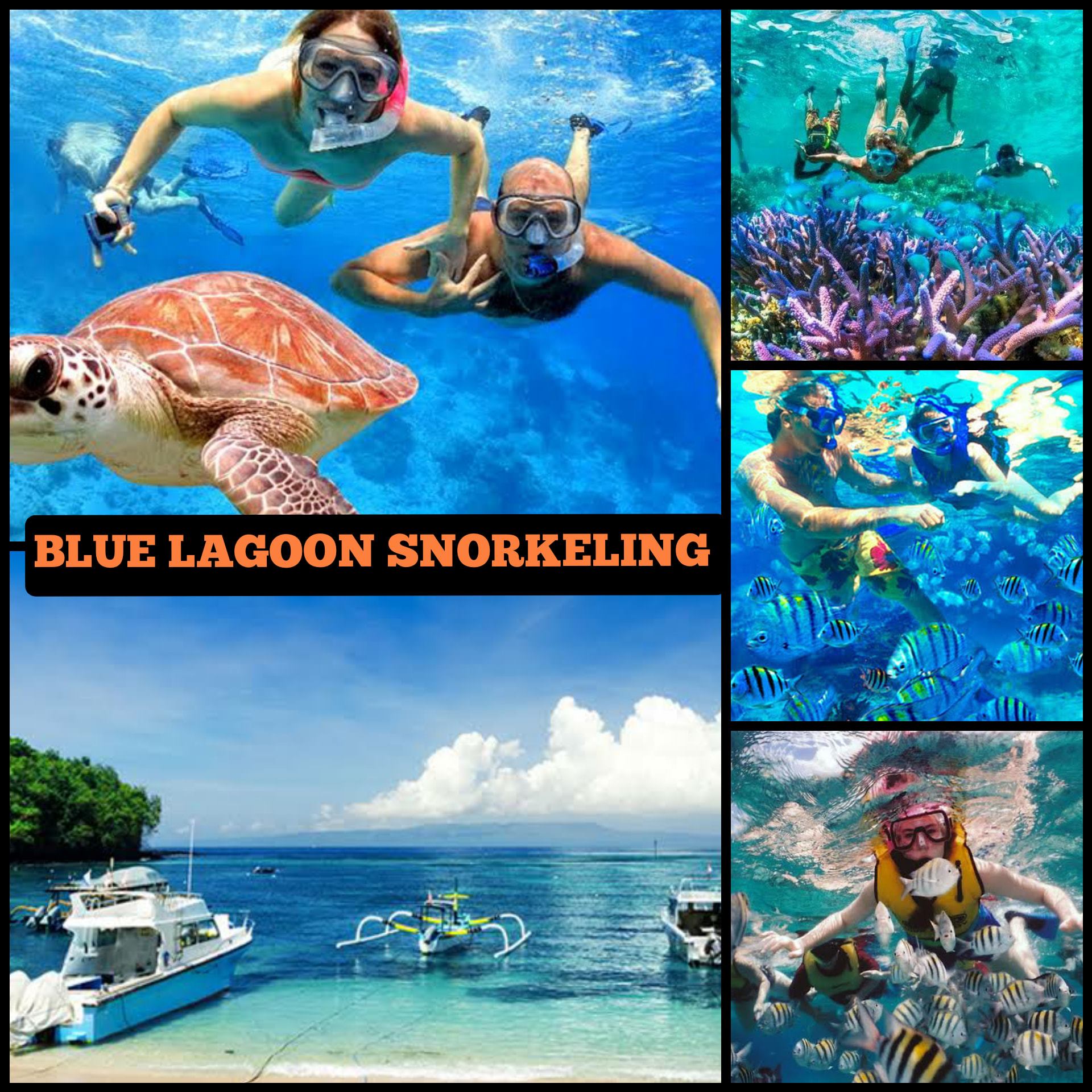 Blue Lagoon Snorkeling