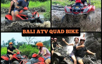 bali atv quad bike