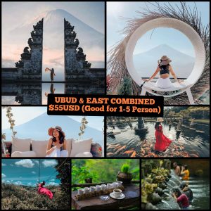 ubud & east combined tour