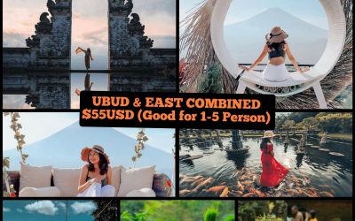 ubud & east combined tour
