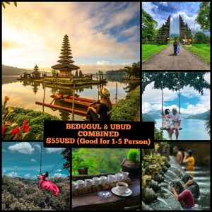 bedugul & ubud combined tour