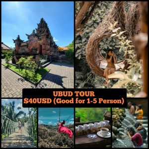 ubud tour