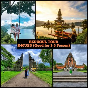 bedugul tour